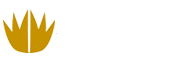 The Flora Grand – 4 star Hotel in Vasco